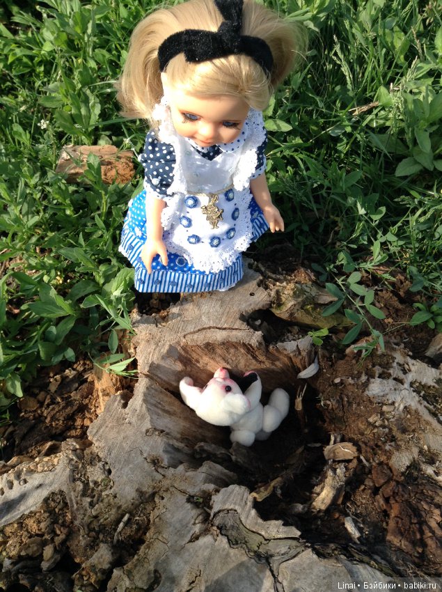 Почти лето или цветочное настроение паолочек