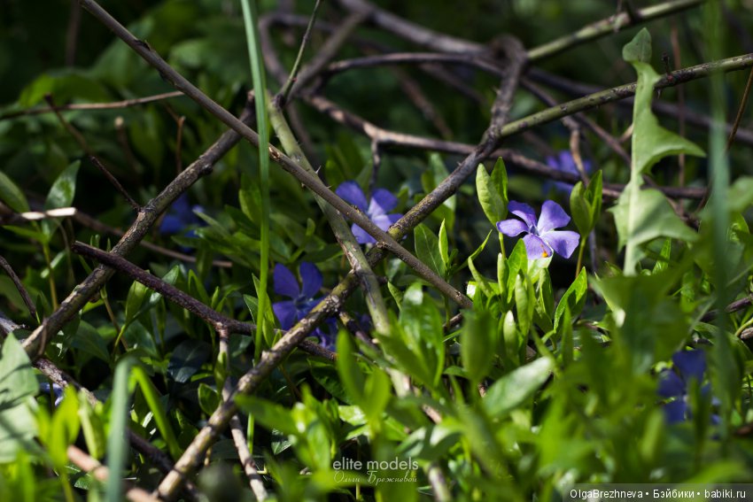 Гулия Monster High. поцелуй, ч1 (фото 6)