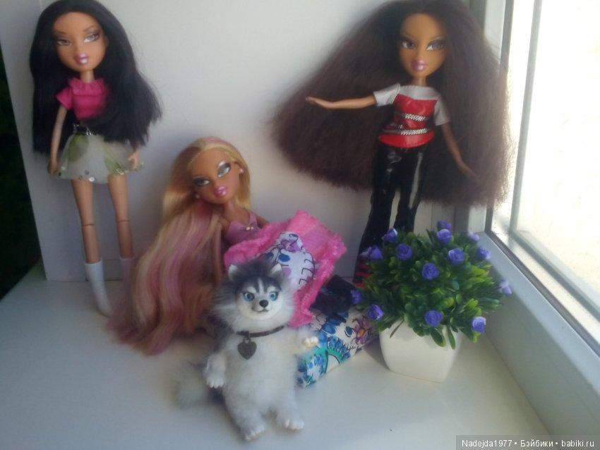 Наши новые кукложители Bratz