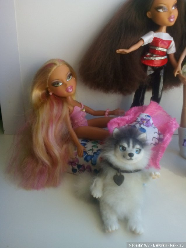 Наши новые кукложители Bratz