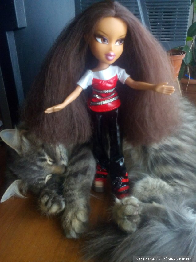 Наши новые кукложители Bratz (фото 5)