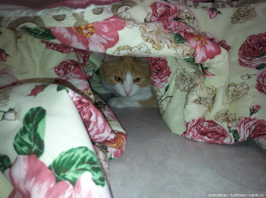 Лоскуточек к лоскуточку, получается одеяло (фото 8)