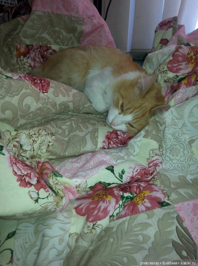 Лоскуточек к лоскуточку, получается одеяло (фото 9)