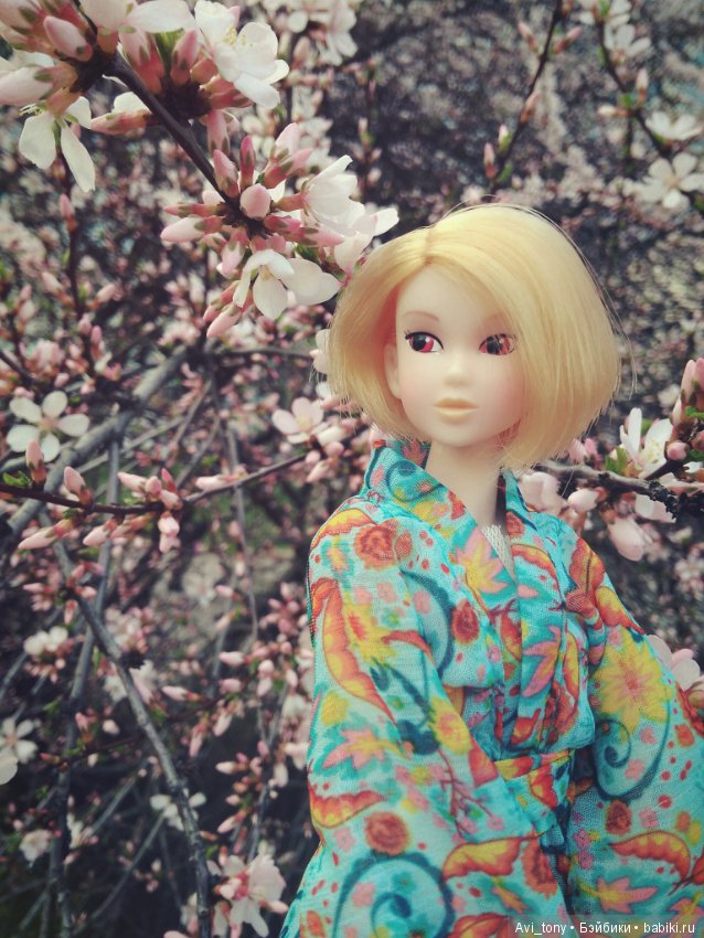 Hanami или Любование сакурой с momoko doll (фото 2)