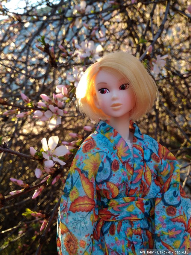 Hanami или Любование сакурой с momoko doll (фото 4)