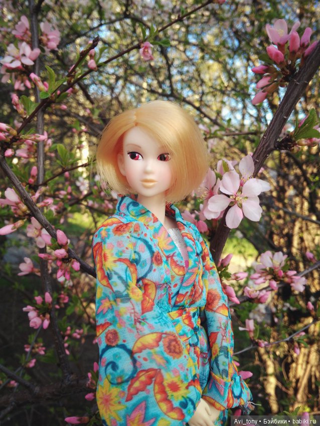 Hanami или Любование сакурой с momoko doll (фото 7)