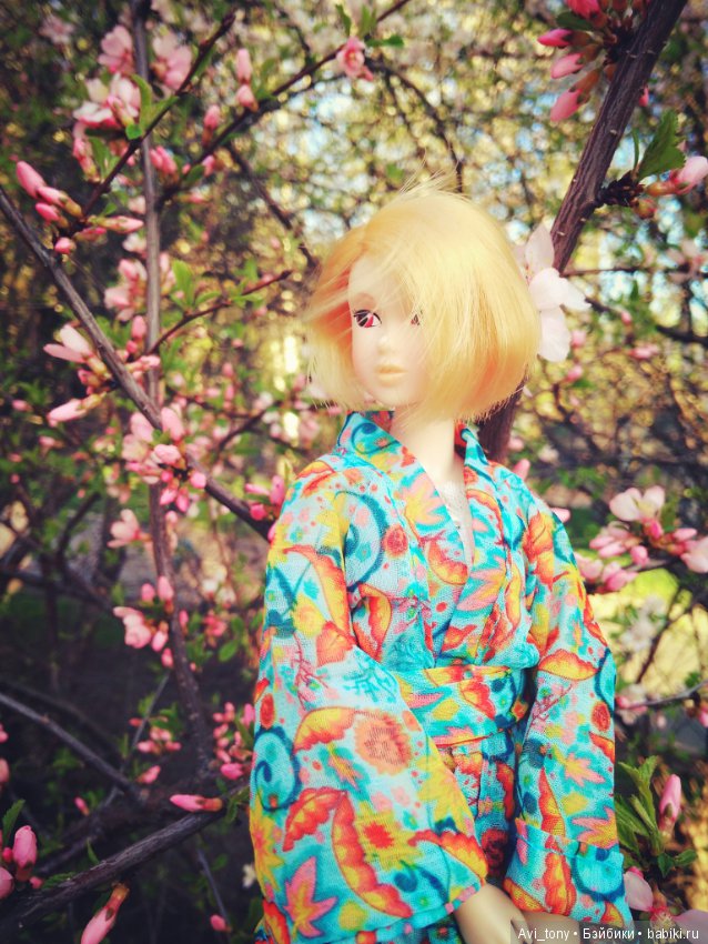 Hanami или Любование сакурой с momoko doll (фото 6)
