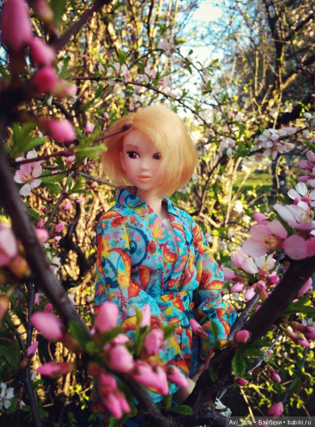 Hanami или Любование сакурой с momoko doll (фото 5)