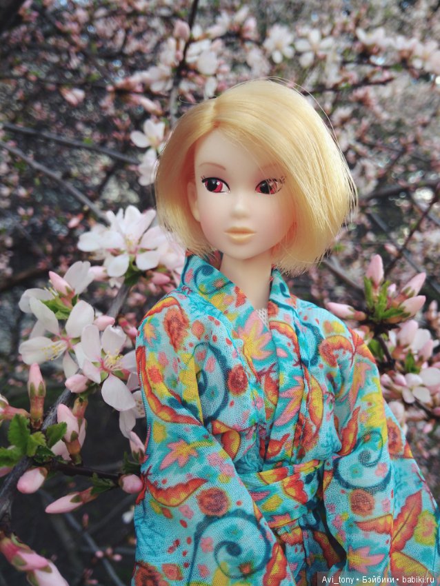 Hanami или Любование сакурой с momoko doll (фото 3)