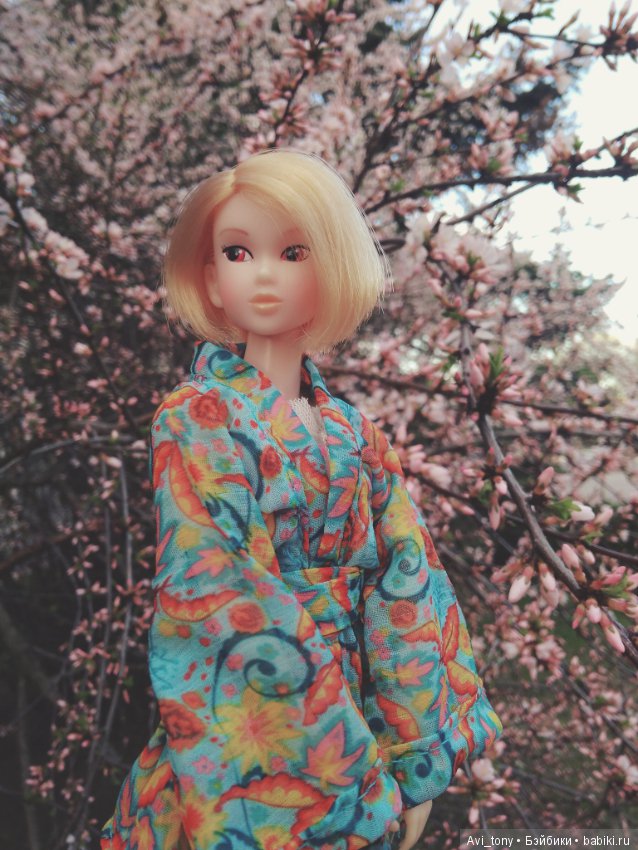 Hanami или Любование сакурой с momoko doll