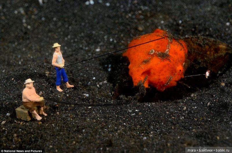 Подводный микромир, автор фото Джейсона Ислея