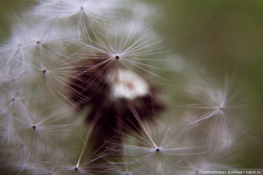 Авея, Monster high — Куклы Monster High и Ever After High: G1 (фото 9)