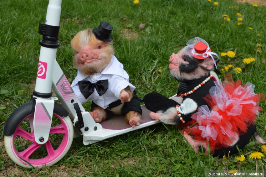 Мастерская Людмилы Скрылёвой. Малыш реборн пигги-свинка или мой настоящий джентельменчик