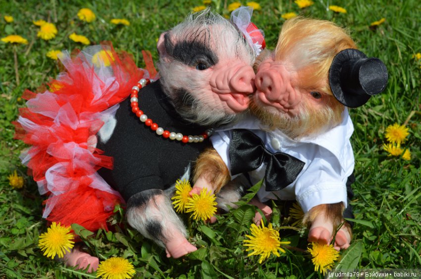 Мастерская Людмилы Скрылёвой. Малыш реборн пигги-свинка или мой настоящий джентельменчик