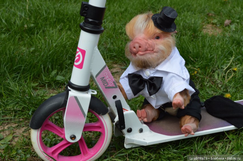 Мастерская Людмилы Скрылёвой. Малыш реборн пигги-свинка или мой настоящий джентельменчик