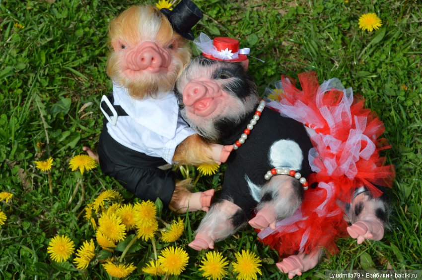 Мастерская Людмилы Скрылёвой. Малыш реборн пигги-свинка или мой настоящий джентельменчик (фото 10)