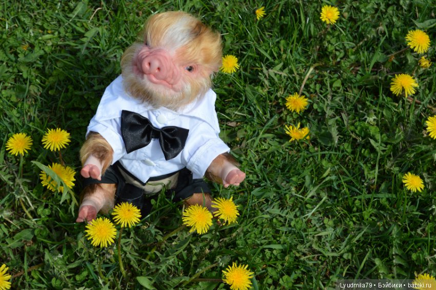 Мастерская Людмилы Скрылёвой. Малыш реборн пигги-свинка или мой настоящий джентельменчик (фото 8)