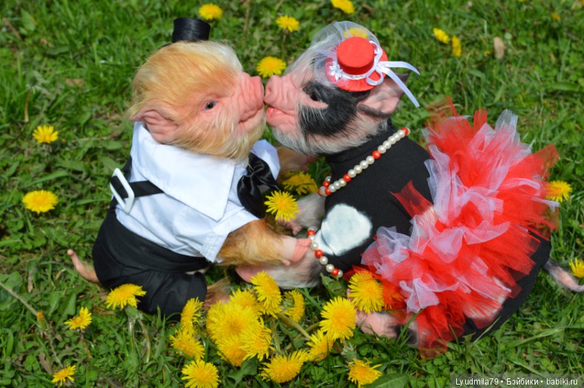 Мастерская Людмилы Скрылёвой. Малыш реборн пигги-свинка или мой настоящий джентельменчик