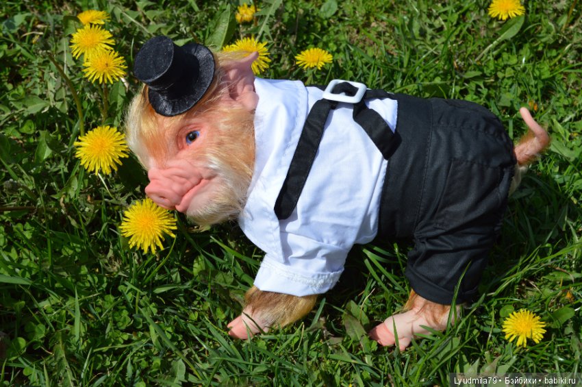 Мастерская Людмилы Скрылёвой. Малыш реборн пигги-свинка или мой настоящий джентельменчик (фото 2)