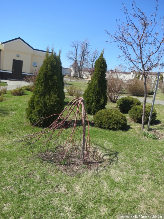 Хвалынский район Алексеевский женский монастырь (фото 7)