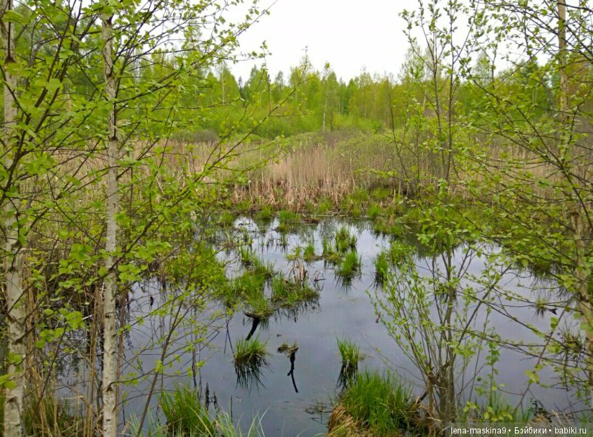 Анфиска (винтажная обезьянка) на природе в Мещере (фото 10)
