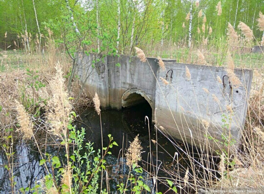 Анфиска (винтажная обезьянка) на природе в Мещере (фото 3)