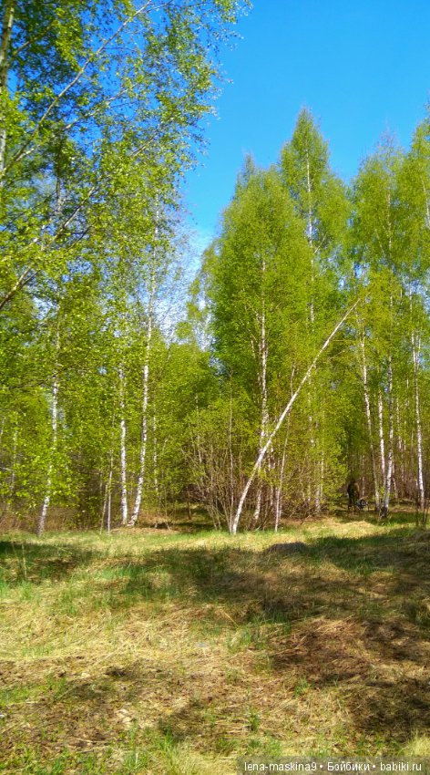 Анфиска (винтажная обезьянка) на природе в Мещере