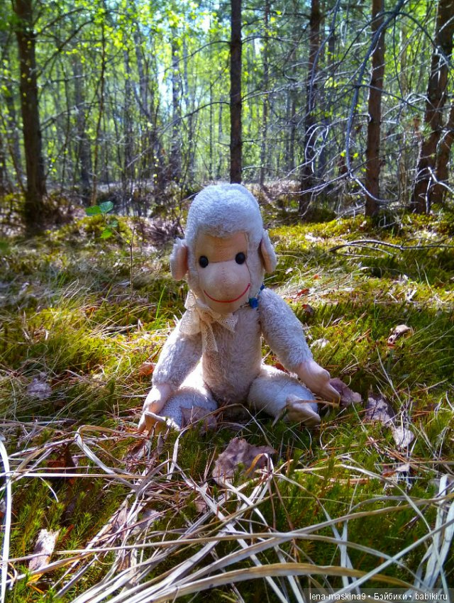 Анфиска (винтажная обезьянка) на природе в Мещере