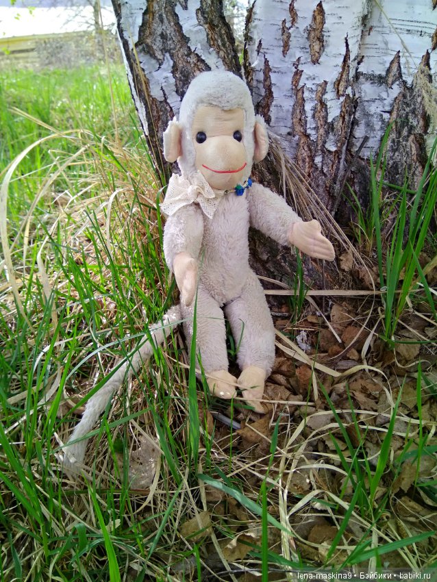 Анфиска (винтажная обезьянка) на природе в Мещере