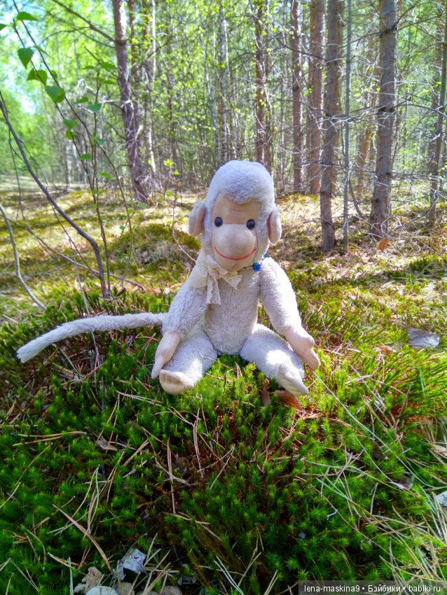 Анфиска (винтажная обезьянка) на природе в Мещере