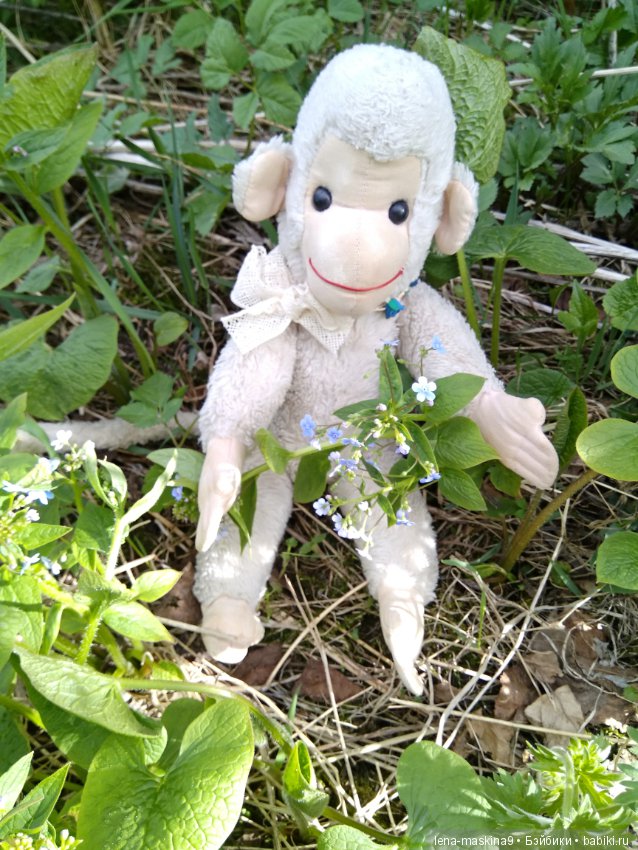 Анфиска (винтажная обезьянка) на природе в Мещере