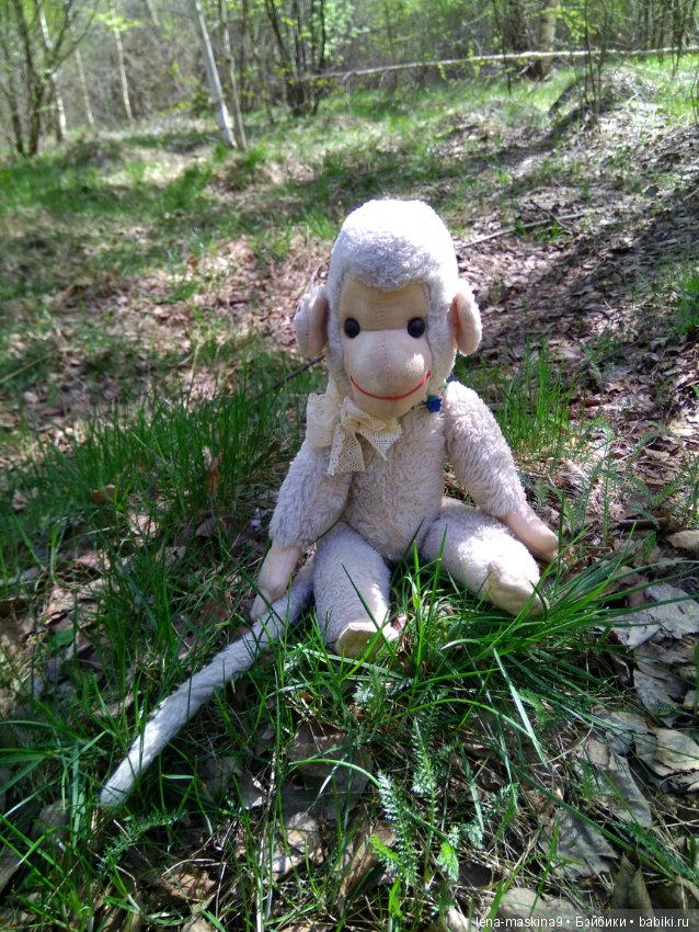 Анфиска (винтажная обезьянка) на природе в Мещере