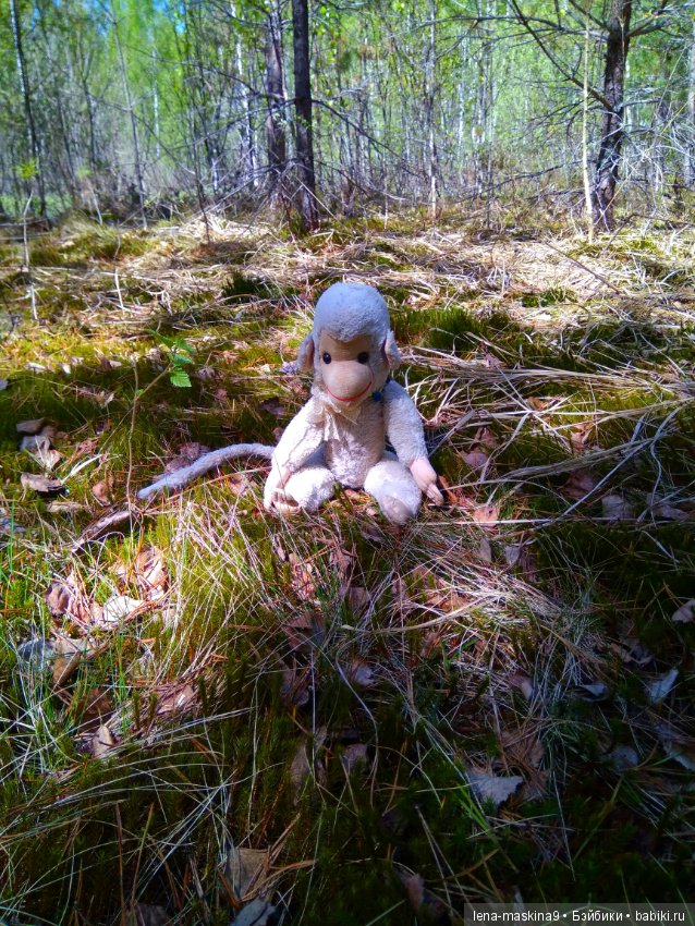 Анфиска (винтажная обезьянка) на природе в Мещере