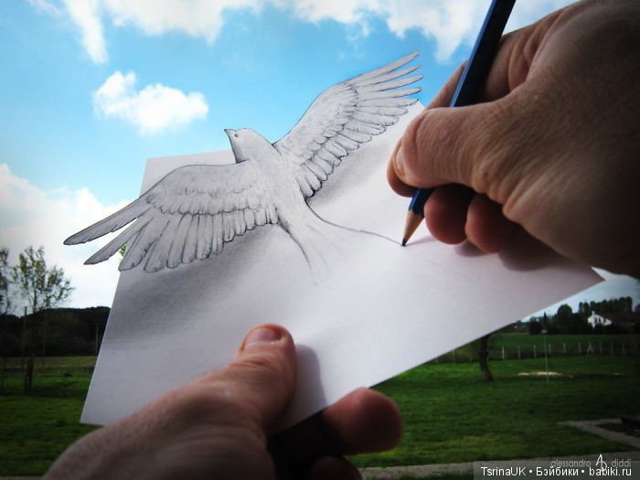 Живые рисунки Алессандро Дидди (фото 3)