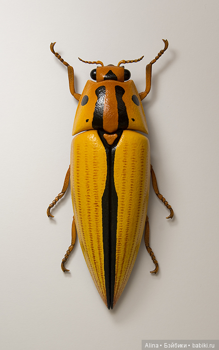 Скульптор по дереву John Morris. Птицы и не только