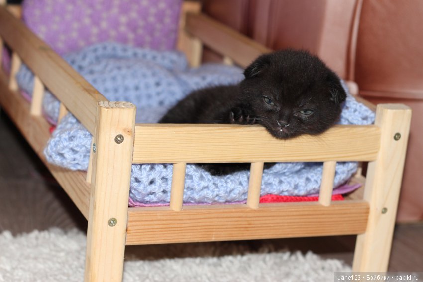 Моя коллекция Lexi — Куклы Effanbee (Эффанби): Patsy (Патси)