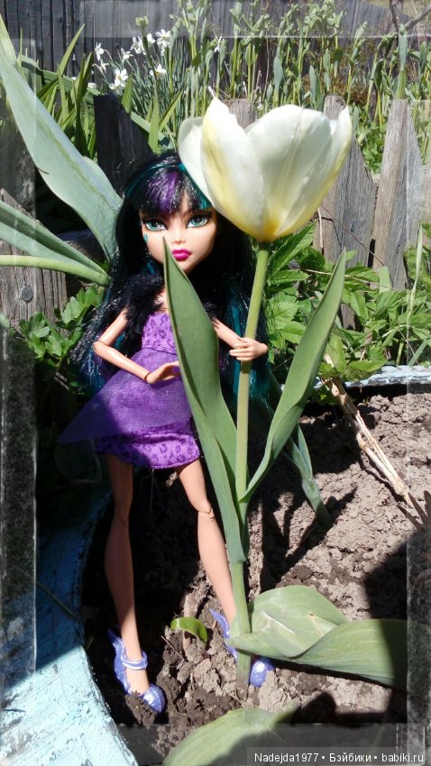 Второй шанс в жизни кукол Monster High