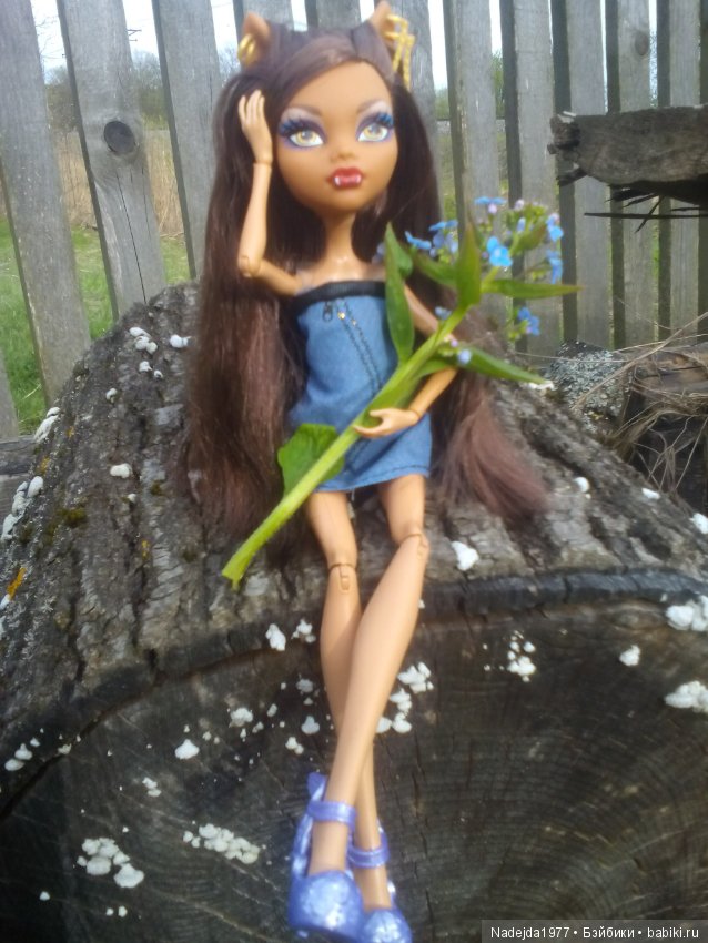 Второй шанс в жизни кукол Monster High (фото 7)