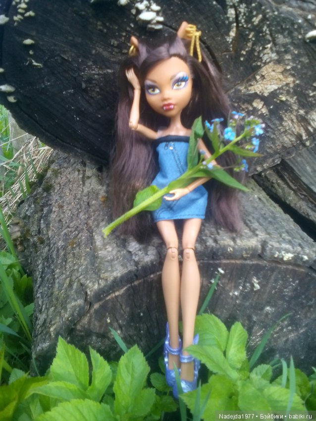 Второй шанс в жизни кукол Monster High (фото 8)