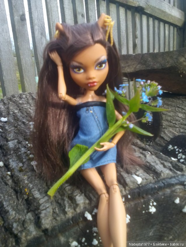 Второй шанс в жизни кукол Monster High (фото 6)