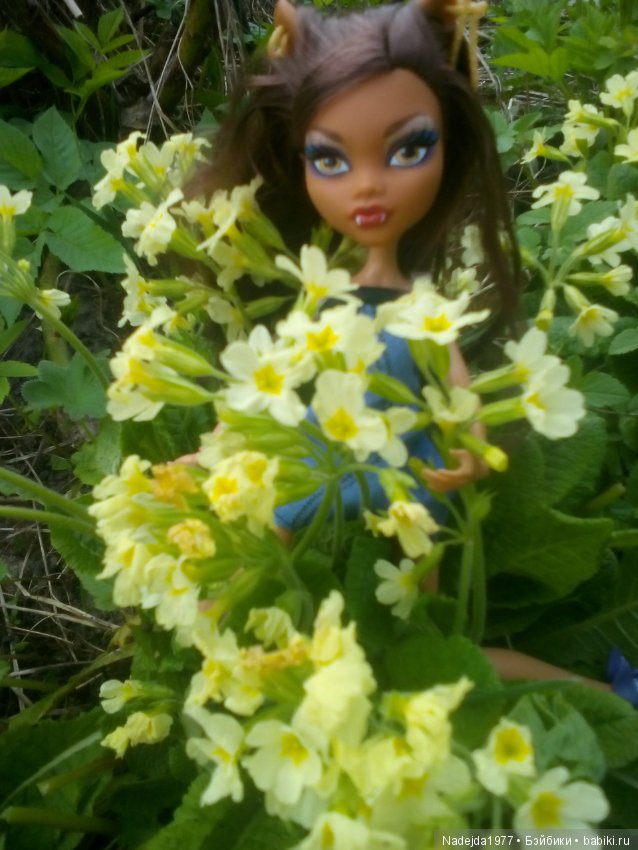 Второй шанс в жизни кукол Monster High (фото 9)