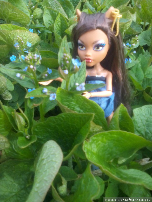 Второй шанс в жизни кукол Monster High (фото 4)