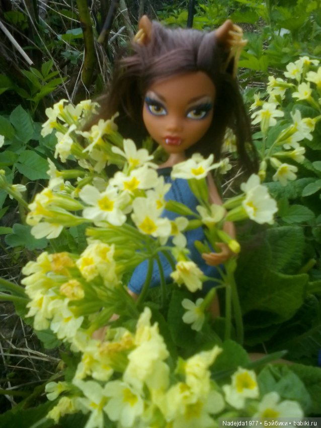 Второй шанс в жизни кукол Monster High (фото 10)
