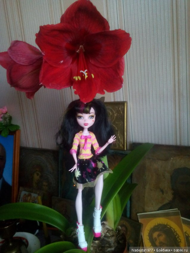 Второй шанс в жизни кукол Monster High