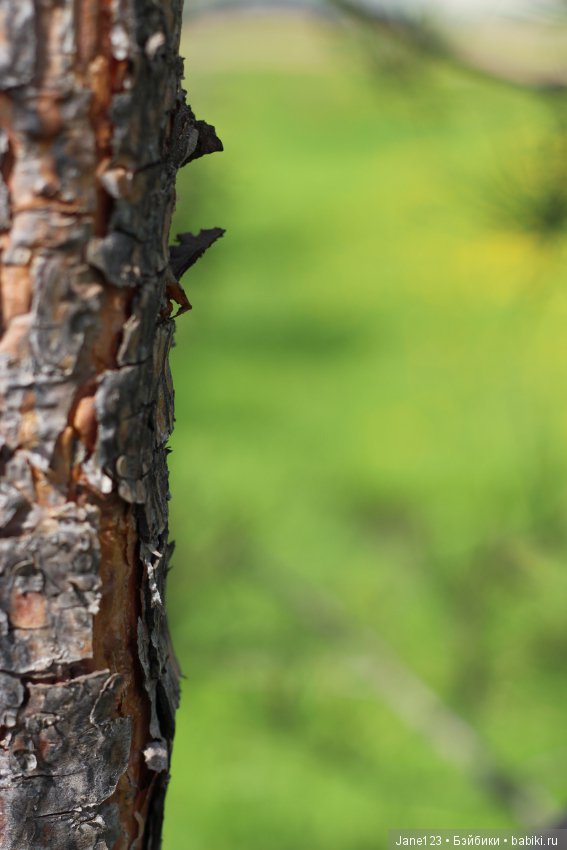 Одувашки. Коллекционные куклы (фото 8)