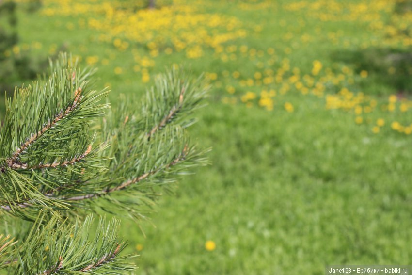 Одувашки. Коллекционные куклы (фото 2)