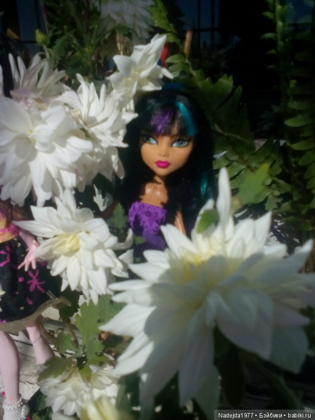 Весна-весна, цветы-цветы — Куклы Monster High и Ever After High: G1