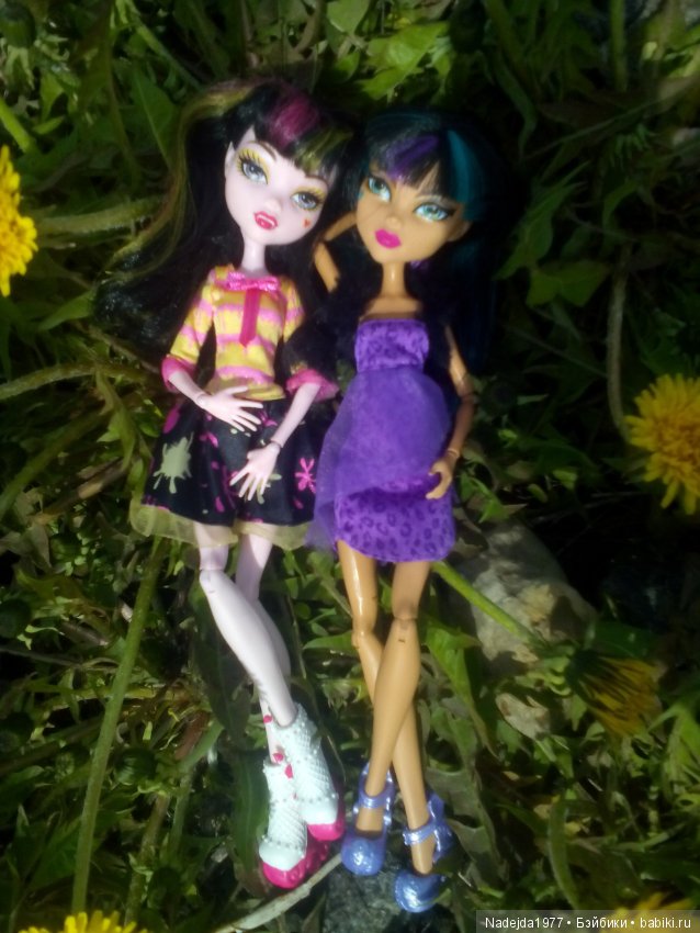 Весна-весна, цветы-цветы — Куклы Monster High и Ever After High: G1