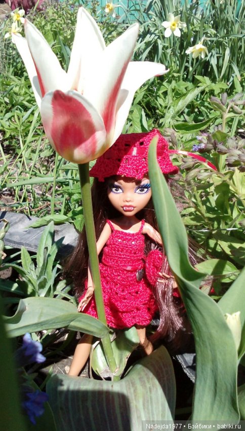 Весна-весна, цветы-цветы — Куклы Monster High и Ever After High: G1 (фото 4)