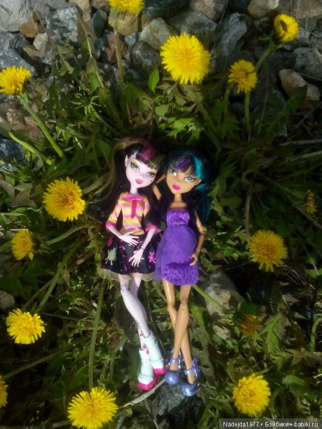 Весна-весна, цветы-цветы — Куклы Monster High и Ever After High: G1